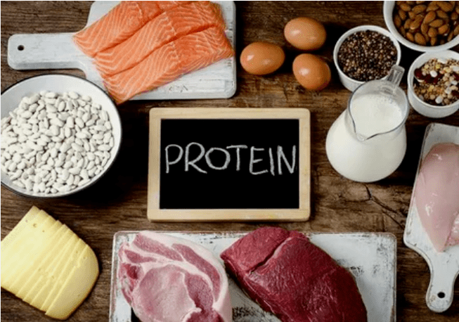 Produse de dietă proteică